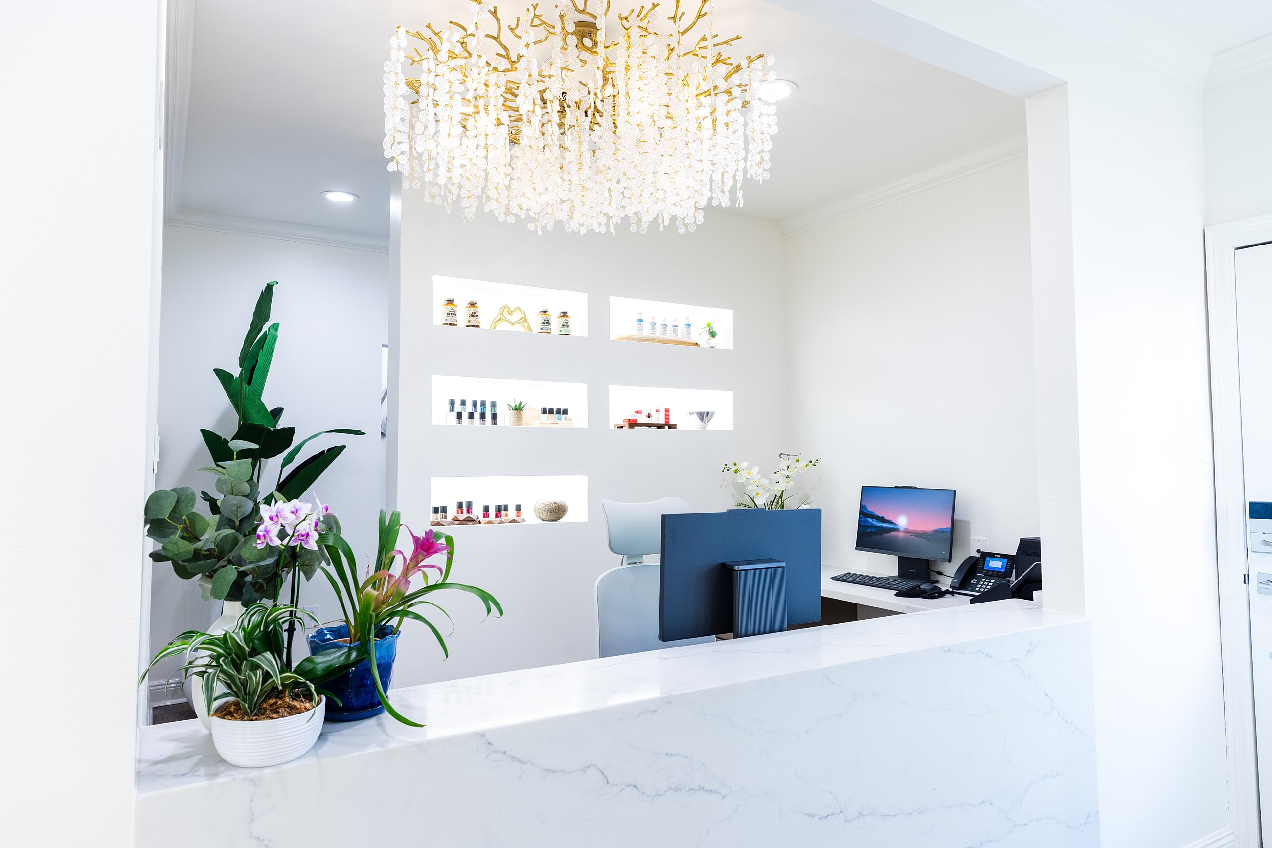 Modern reception area with plants and decor.