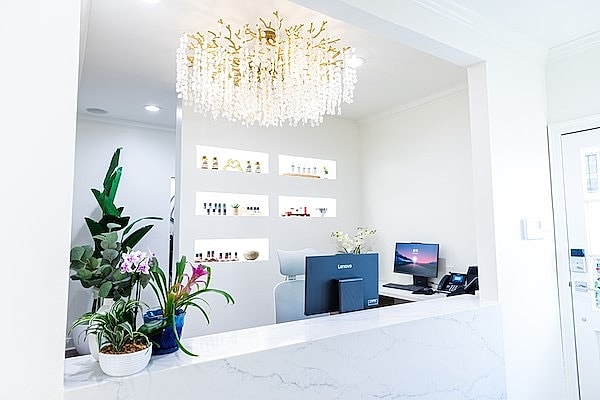 Modern reception area with elegant decor and plants.