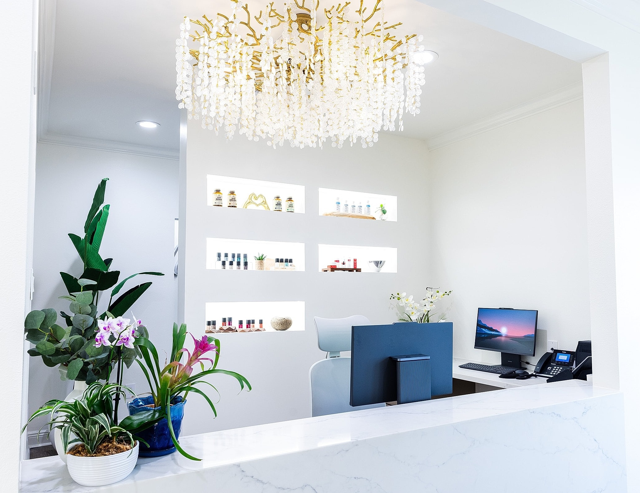 Modern reception area with plants and decor.